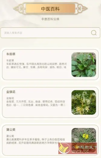 中医经络穴位典籍v1.3纯净版