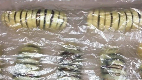 PHP 框架学习的快速上手