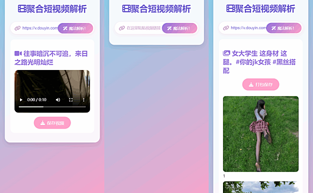 全新二次元聚合短视频解析去水印系统源码 自适应双端