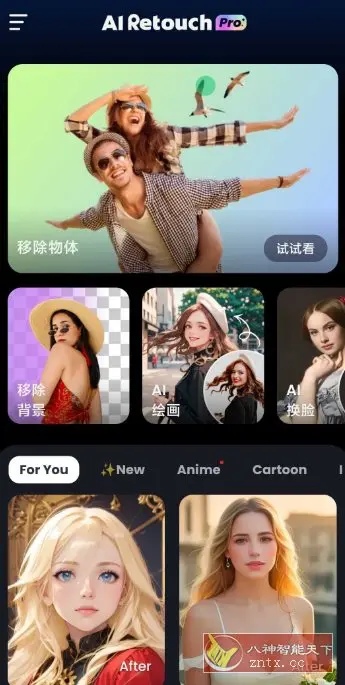 AI Retouch 移除杂物1.254.66高级版
