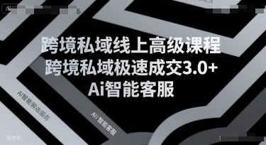 跨境私域线上高级课程，跨境私域极速成交3.0+Ai智能客服