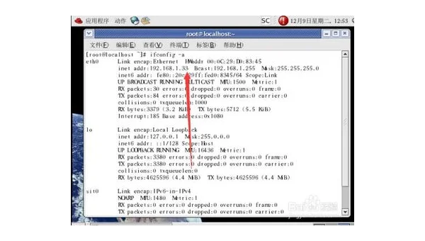 Linux 中如何查看和管理网络连接