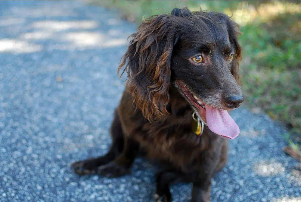 windows 10安装时如何跳过秘钥