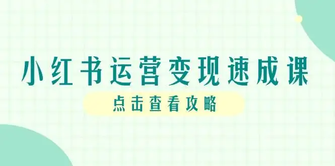 小红书运营变现速成课，账号搭建到暴力起号，个人IP全流程指南