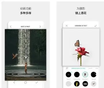 VIMAGE 3D动态照片v5.1.8专业版