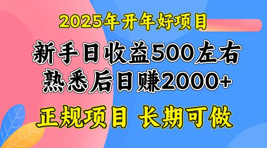 （14076期）2025开年好项目，单号日收益2000左右