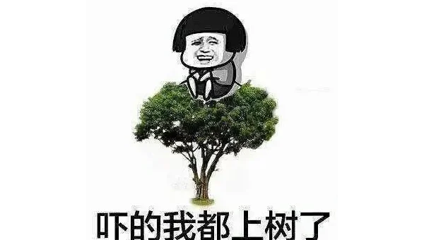 如何在 Linux 下安装和使用 SoX 进行音频处理