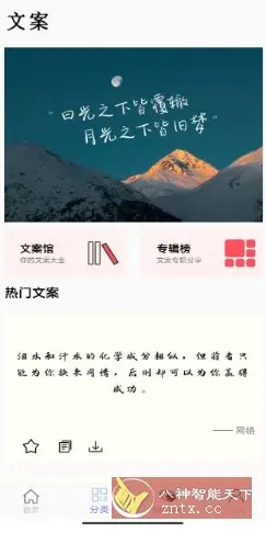 文案大师 v1.0纯净版