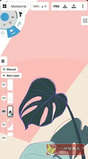 概念画板 v2025.06.4高级版