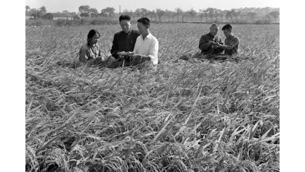 本地账户如何加密？BitLocker 替代方案