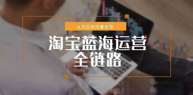 （15160期）淘宝蓝海运营全链路，从选品到流量变现，小类目突围完整方案