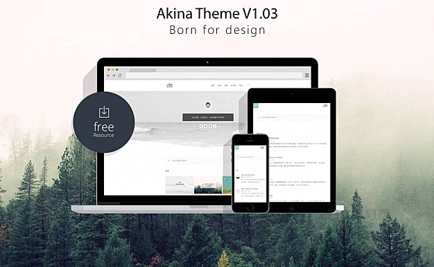 极简主题Akina WordPress主题