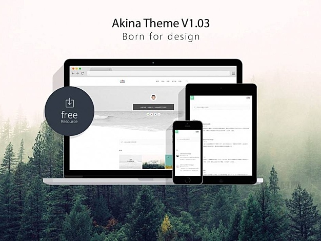 极简主题Akina WordPress主题