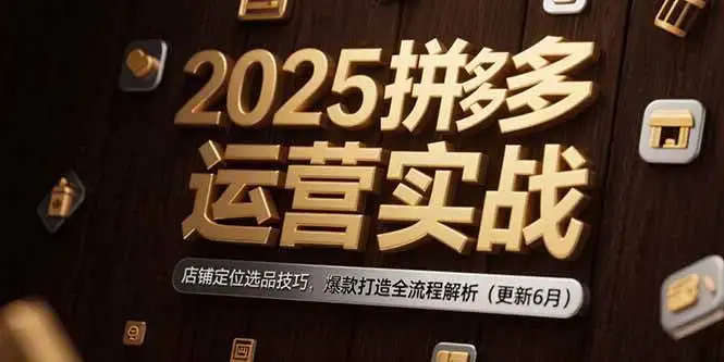 (15235期)2025拼多多运营实战:店铺定位选品技巧,爆款打造全流程解析(更新6月)