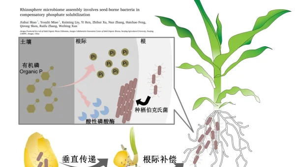 linux中命令自动补齐功能