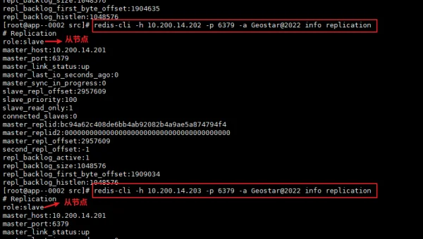 一次装多个linux系统吗